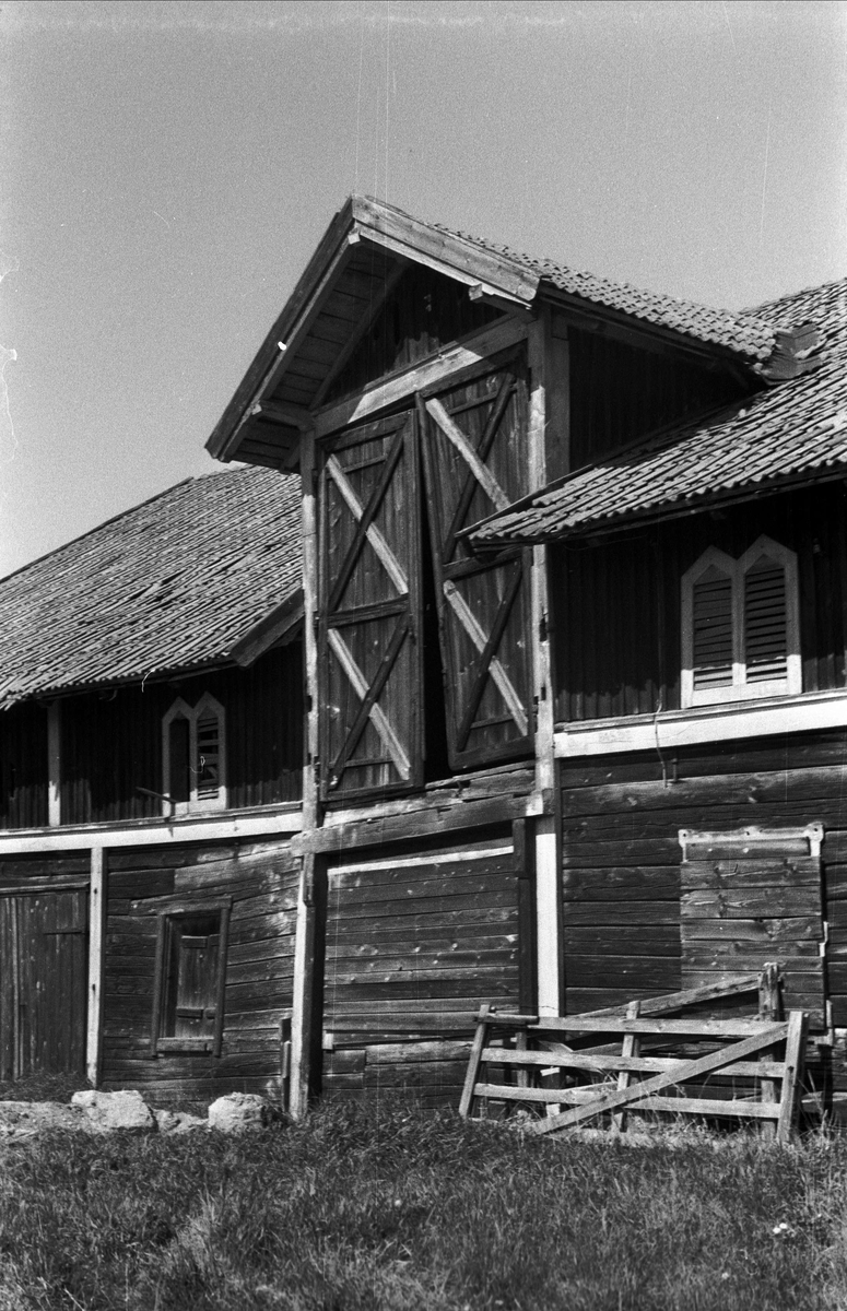 Oxhus
