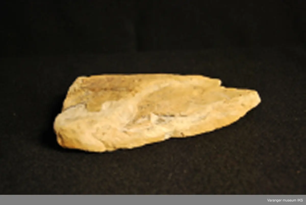 Fossil