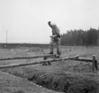 Fälttävlan på F 2 Roslagens flygflottilj, 1941. Balansgång.