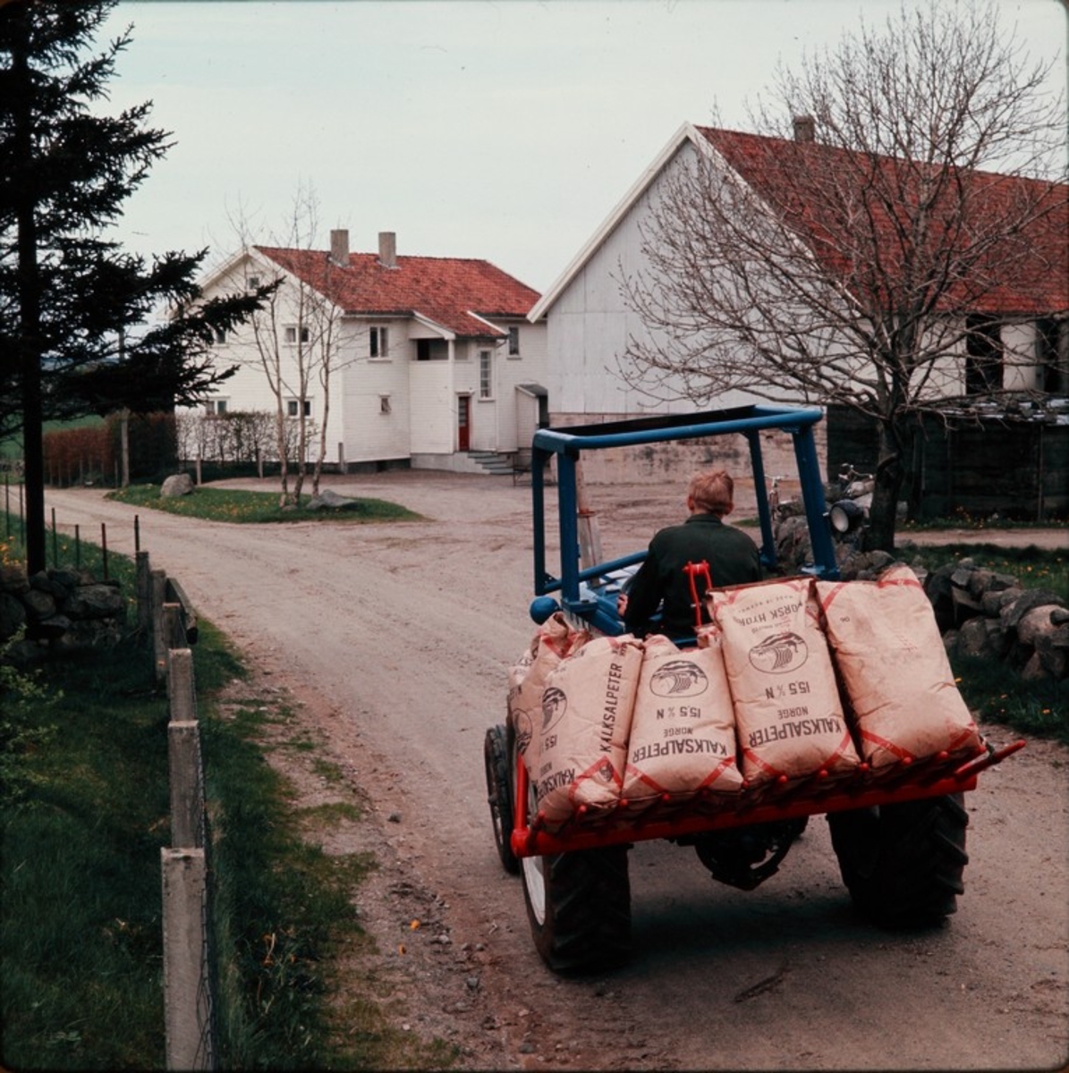 Transport av gjødselssekker med Steinsvans fra Kvernelands Fabrikk A/S, traktoren er en Ford