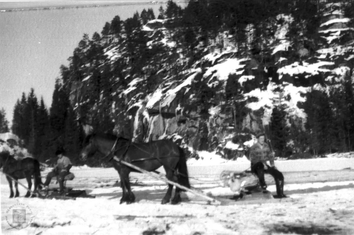 Skogsarbeid "Under haugen" Foss i Bjelland.