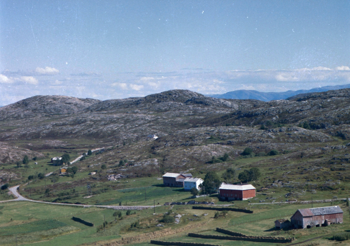 Tranvikgårdene