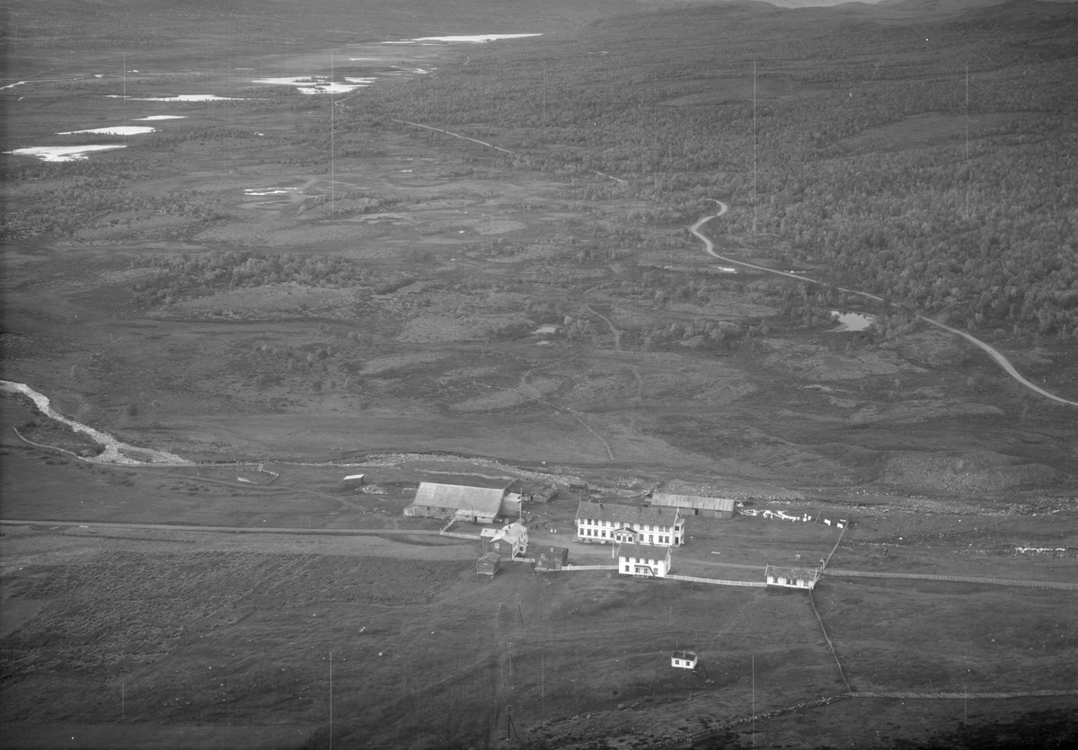 Fokstua, Dovre, fjellstue, fjellandskap, blandingsskog