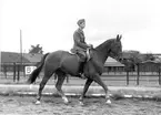 Ridkurs 12/10 1954-13/5 1955 Strömsholm.Sergeant Ewert Olausson på 