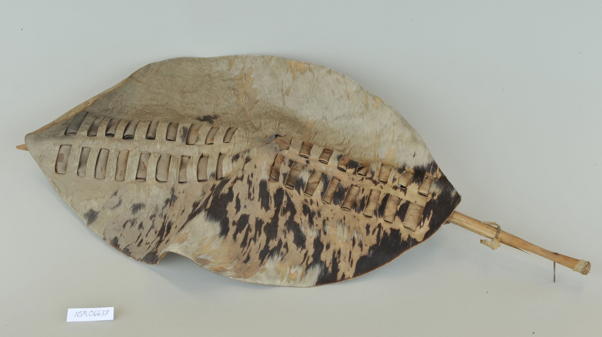 Dyreskinn montert på trepinne.