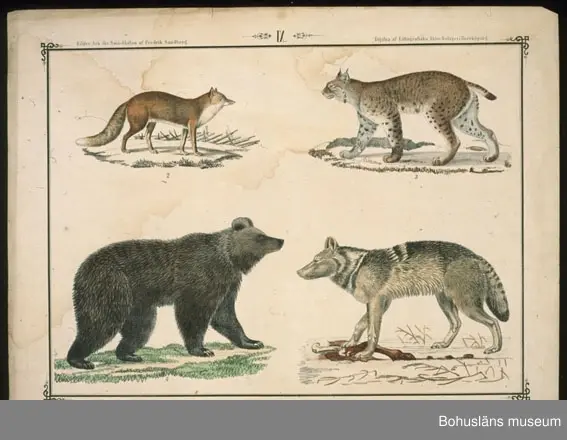 Ur handskrivna katalogen 1957-1958:
Ark för Små-Skolan
14 st. Gåva av Fredrik Sandberg.