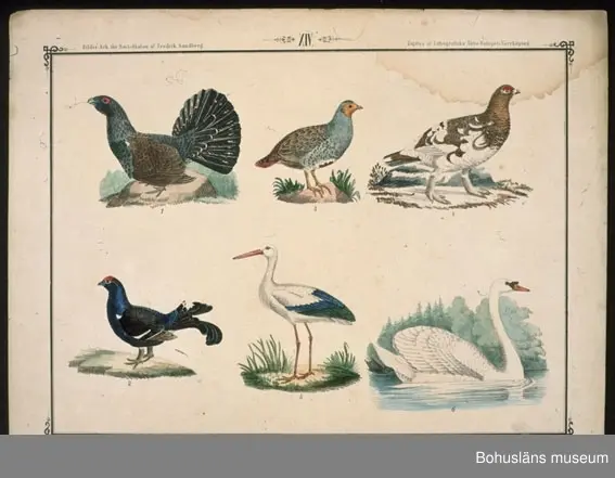 Ur handskrivna katalogen 1957-1958:
Ark för Små-Skolan
14 st. Gåva av Fredrik Sandberg.