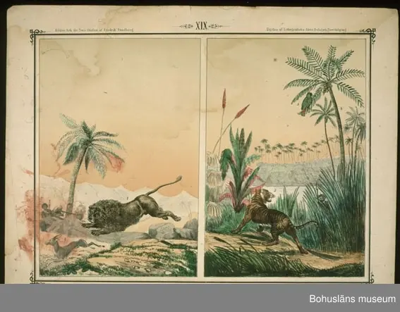 Ur handskrivna katalogen 1957-1958:
Ark för Små-Skolan
14 st. Gåva av Fredrik Sandberg.