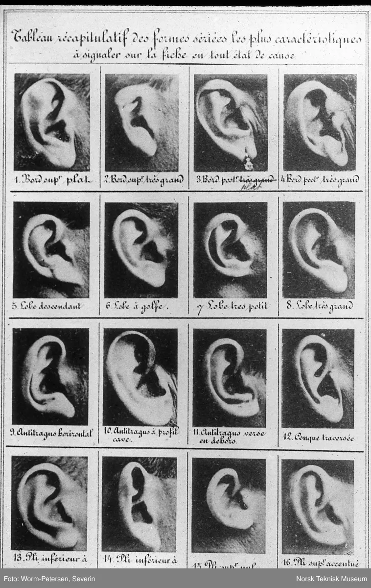 Øreformer (16 ører)