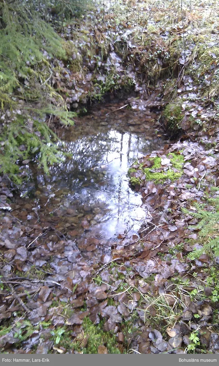 Här på det så kallade Skojareberget bodde på 1800-talet och vid 1900-talets början ett flertal familjer ur resandefolket. De försörjde sig på hantverk och handel som bedrevs i både Sverige och Norge.

Her på det såkalte Skojareberget bodde på 1800-tallet og på begynnelsen av 1900-tallet flere familier av romanislekt. De livnærte seg av håndverk og handel som ble bedrevet i både Sverige og Norge.