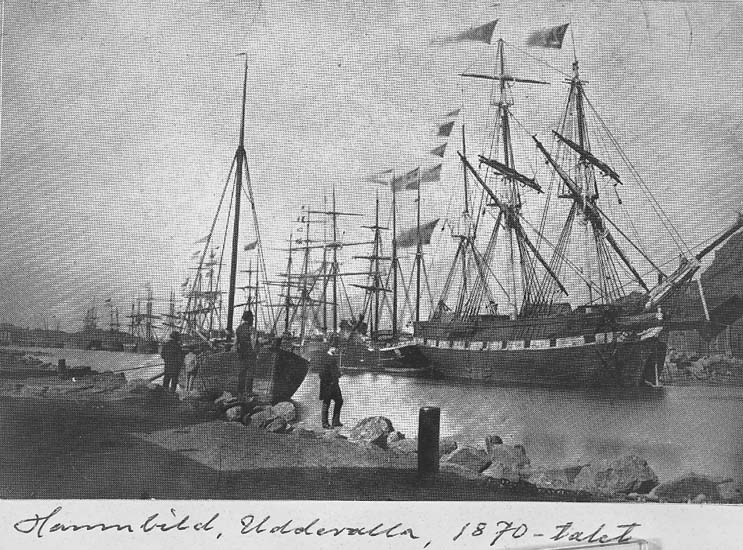Text på kortet: "Hamnbild, Uddevalla, 1870 - talet".

.

