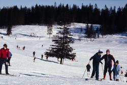 Vinter i Oslo