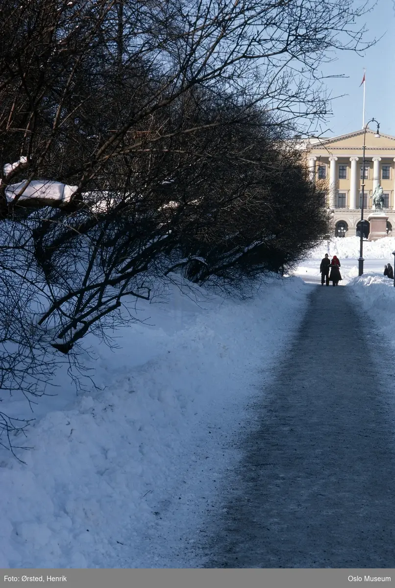 bakke, gruset fortau, mennesker, rytterstatue, Slottet, snø