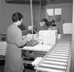 Packning av ägg på Äggcentralen, Uddevalla, i mars 1959