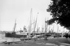 Nordisk Fiskeriutställning i Marstrand 1904. Ångbåtar vid kaj utanför Paradiset.