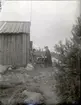 Från Söderhamns skärgård, den 19 juli 1894.