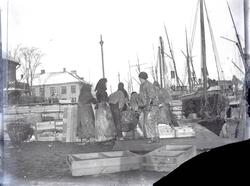 Sillpackning  på kajen i Marstrand