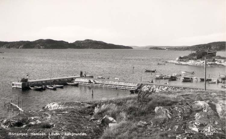 Tryckt text på kortet: "Rörtången. Hamnen. Lövön i bakgrunden."
"T-Foto".