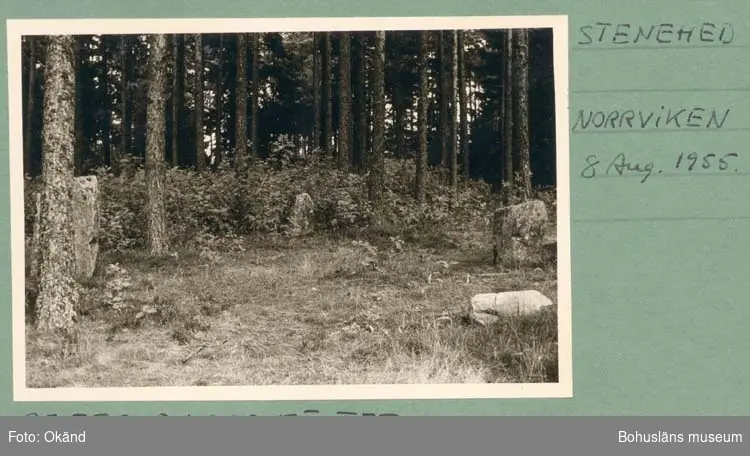 Noterat på kortet: "Stenehed. Norrviken."
"Rester av Gravfält."
"8 Aug. 1955."