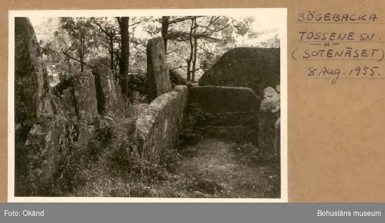 Noterat på kortet: "Bögebacka Tossene Sn. Sotenäset."
"Gånggriften."
"Aug. 1955."