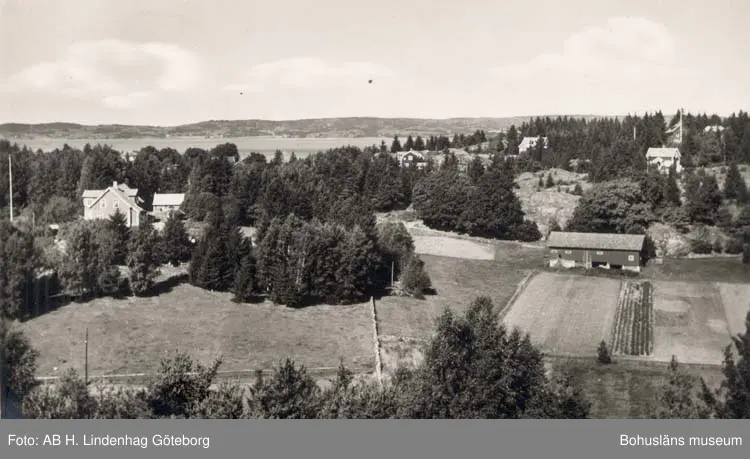 Tryckt text på kortet: "Ödsmål. Mors-Vila."