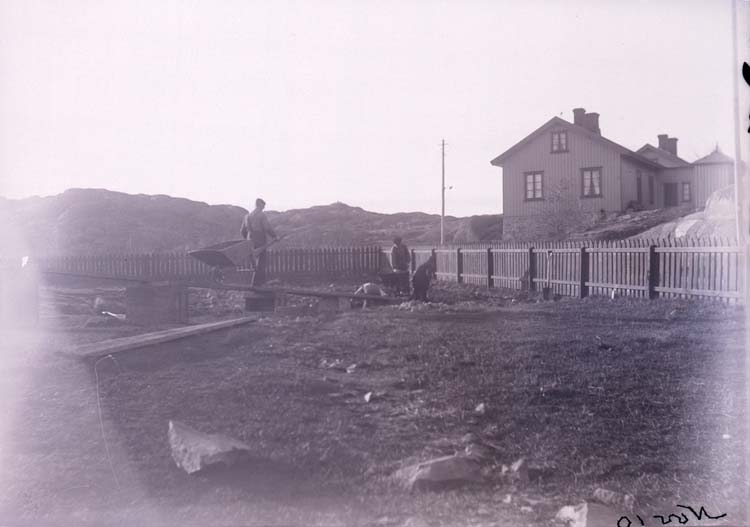 Enligt text som medföljde bilden: "Gräfning vid Stugan, Lysekil Nov. 10."