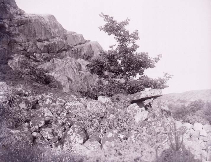 UMFA53278:1065
