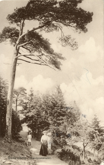 Tryckt text på vykortets framsida: "Gustafsberg Strandpromenaden."