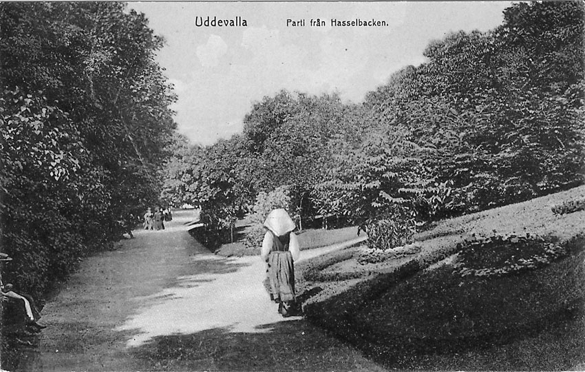 Tryckt text på vykortets framsida: "Uddevalla. Parti från Hasselbacken".