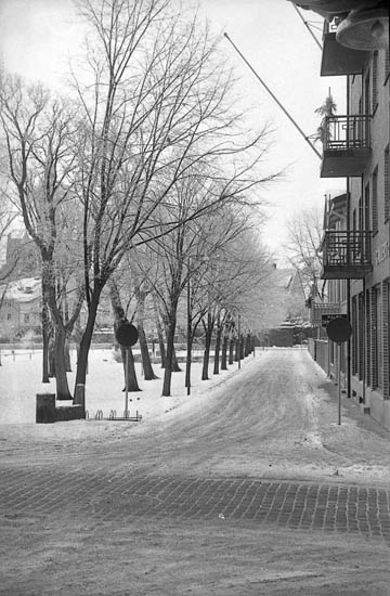 Enligt fotografens notering: "Lysekils stadspark mot Kungsgatan".