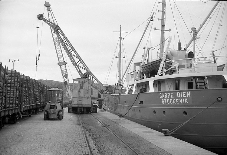 Enligt fotografens notering: "Virkeslossning i Lysekil 1965".
