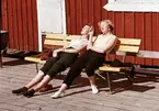 Paus i solen