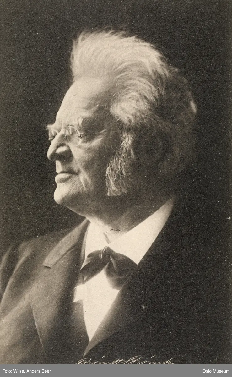 portrett, mann, forfatter, brystbilde, profil