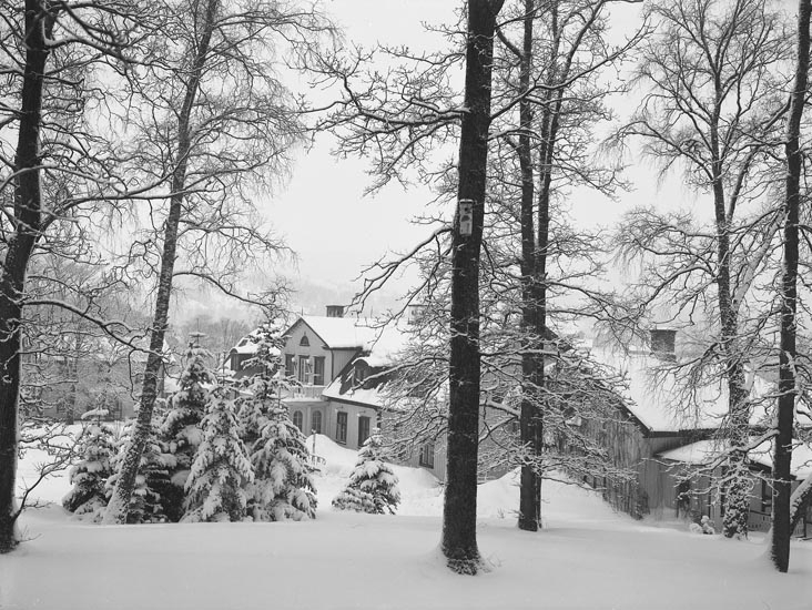 Enligt medföljande noteringar: "1937. 4. Herrgården i snöskrud."

Uppgifter ifrån Munkedals HBF: "Fotot taget från öster."