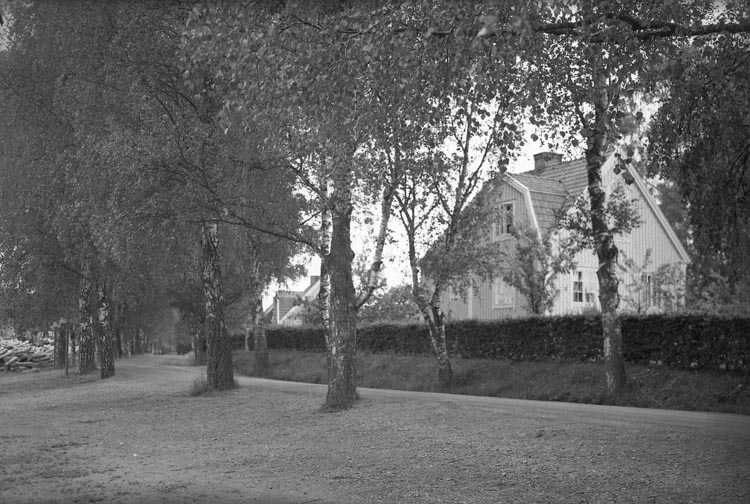 Enligt fotografens noteringar: "1938. 53. SvärdsTången".