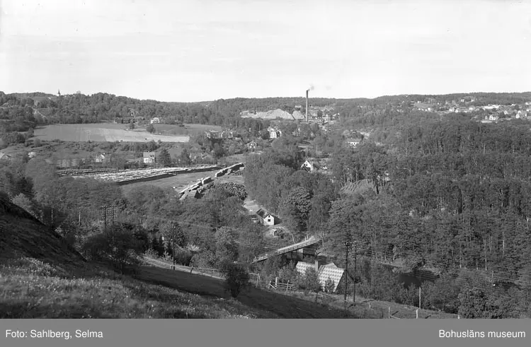 Enligt fotografens noteringar: "Utsikt från Bohusba...? öfver munkedals fabriks.....?".