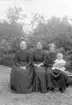 Enligt fotografens journal nr 2 1909-1915: 