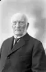 Porträtt