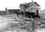 Skrivet på baksidan: Halland, Viske hd, Värö sn, Båtfjorden. Hästgarnen köras upp till räckan.