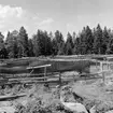 Skrivet på baksidan: Skellefteå landsförs, Burvik. Strömmingsskötar på tork.