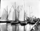 Fotograferat av: Nordiska Museet Stockholm
Skrivet på baksidan: Kosterbåtar för badgästsegling i Lysekil början på 1900-talet