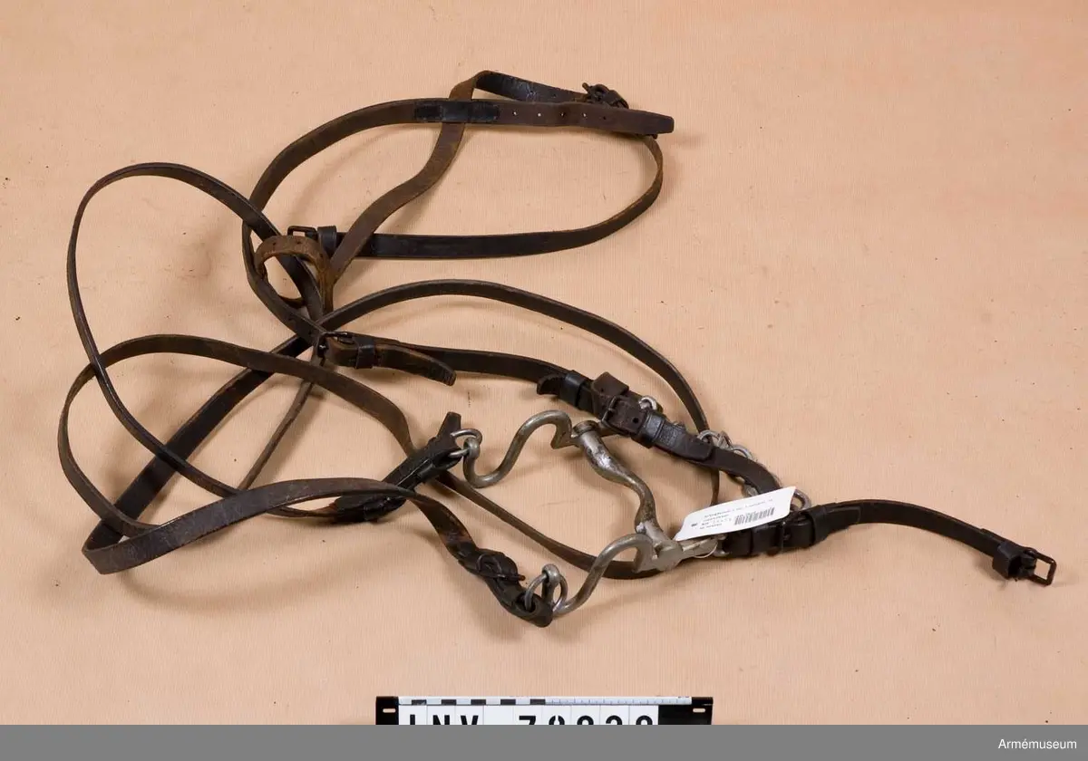 Stångbetsel, bestående av huvudlag m/1867, stångbett m/1869, tyglar m/1877.