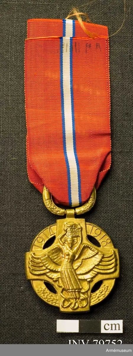 Medalj i form av en rund ring med ett kors ovanpå som sticker ut något utanför ringen, vars inre vinklar är kraftigt rundade. Mitt på framsidan en bevingad kvinna som håller upp en skriftrulle med inskriptionen ZA SVOBODU (För frihet) i sina uppsträckta händer. Mellan hennes ben slingrar sig ormar. I den omgivande ringen en lagerkrans i den nedre delen och åren 1914 och 1918 i den övre.

Baksidan visar en Pegasushäst med en ryttare på, som håller en vajande fana i sin högra hand. Inskriptionsringen har inskriptionen (från nedre vänster till nedre höger) SVOBODNÝ NÁRODE / VZHŮRU NA STRÁŽ.

Bandet är rött, blått och vitt.