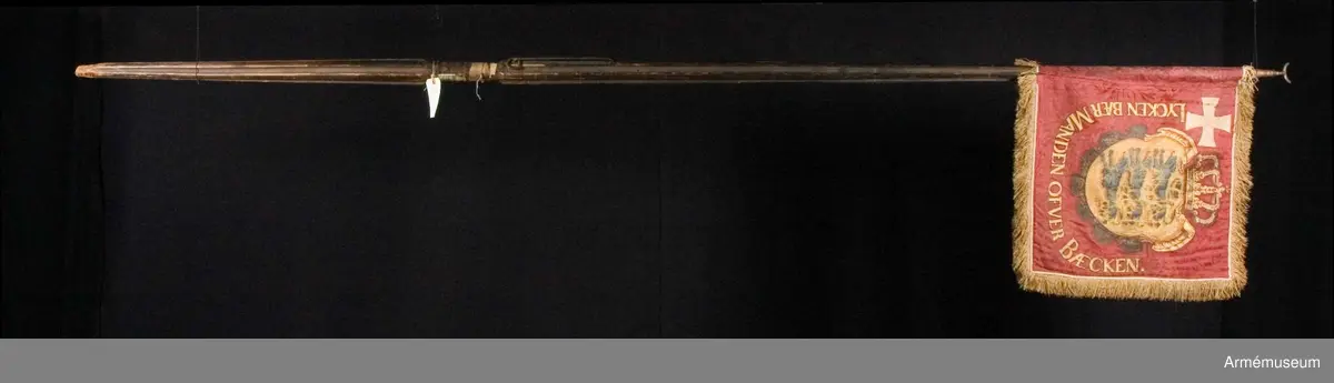 Standar av djupröd mönstrad sidendamast med Själlands vapen och vitt kors i målning och applikation. Duken är dubbel, av europeisk sidendamast med ett Dannebrogskors av applicerat vitt omönstrat siden i övre stångsidehörnet. I mitten en infälld krönt vapensköld av gul sidendamast i intarsiateknik med Själlands vapen, tre målade blå leoparder. På sidorna och nertill texten ”Lycken bær Manden ofver Bæcken” (Lyckan bär mannen över bäcken).
Runt kanten tredubbel frans i silke, troligen ursprungligen vit.
Spetsen är av förgyllt järn och avbruten, ursprungligen bladformad, endast nederdelen bevarad.