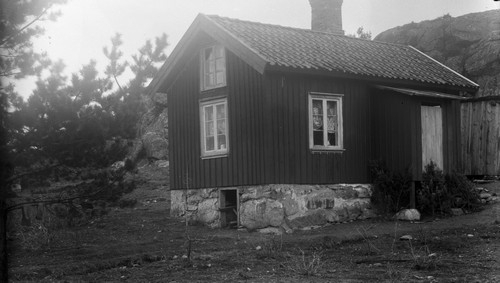 UMFA54429:6503