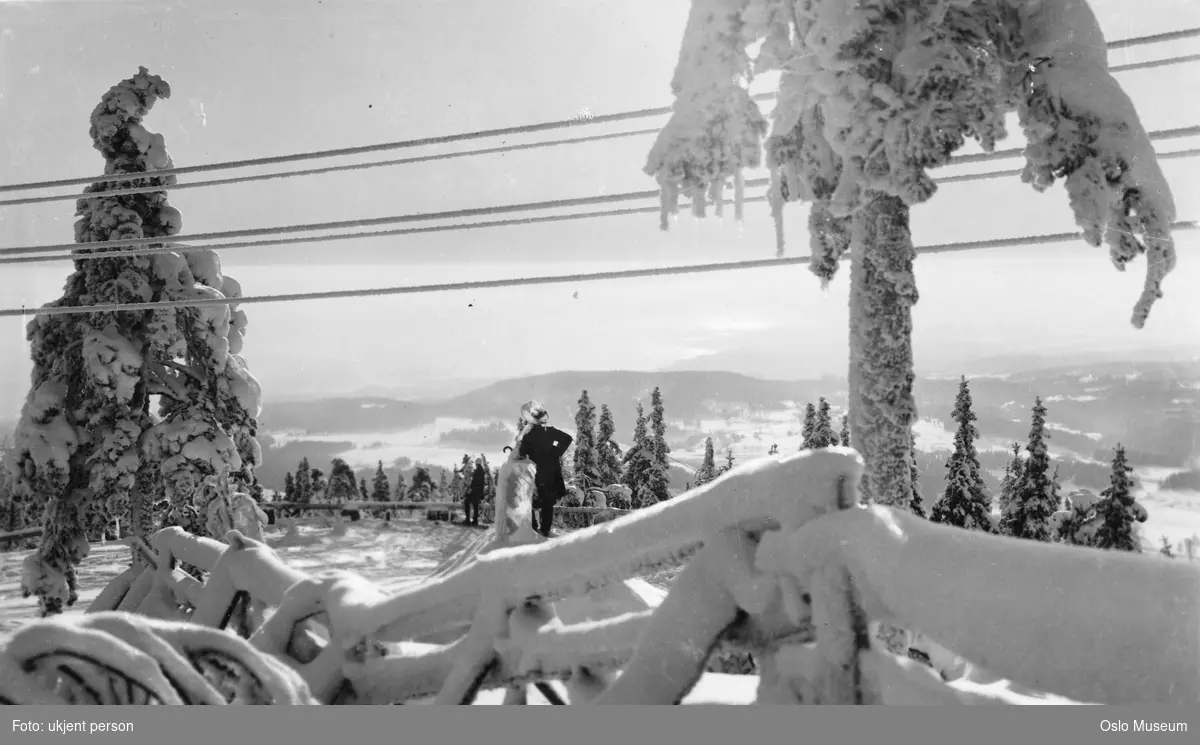 utsikt, skog, portrettstatue, snø
