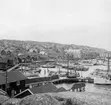 (Stereo karta XX) Gravarnes fiskeläge. 8 Juni 1930.