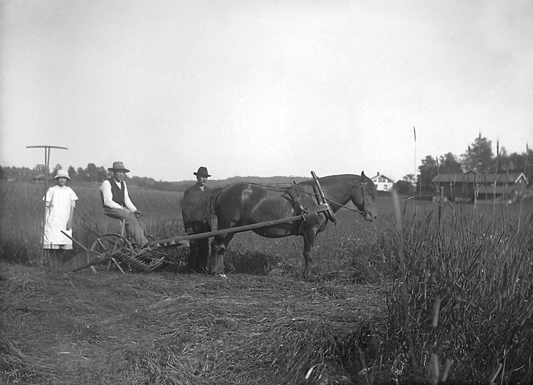 "Bernhard Olsson, Märta och Edwin Hansson i Råane, Forshälla, 9/7 1916." enligt senare notering.