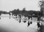 Soldater ur Kronobergs regemente I 11 vadar över Rönneån vid Ljungbyhed. Soldaterna iförda uniform m/1886.