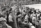 Publiken ser på vid uppvisningar på Arméns underofficersskola (Försvarets läroverk) i Uppsala 1949.